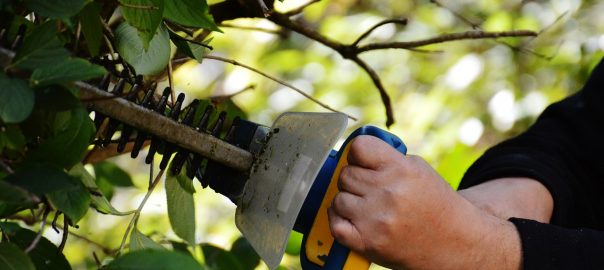 bush 972972 1280 604x270 - Vernetzt im Grünen: Wie STIHL Connected die Gartenarbeit intelligent macht