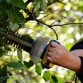 Vernetzt im Grünen: Wie STIHL Connected die Gartenarbeit intelligent macht